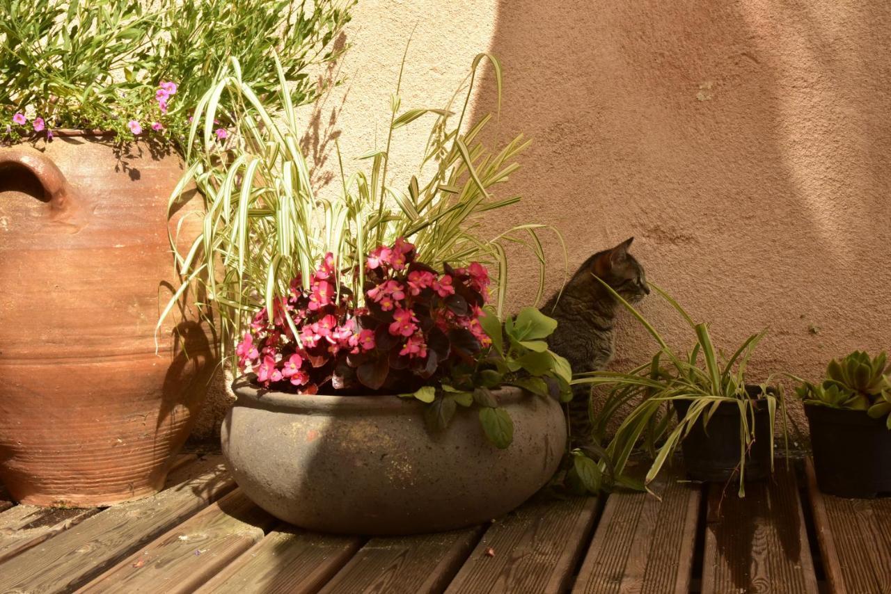 Logis Hotel Le Boudoir Belvès Εξωτερικό φωτογραφία